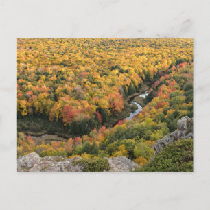 Carte Postale Parc d'état sauvage des monts Porcupine