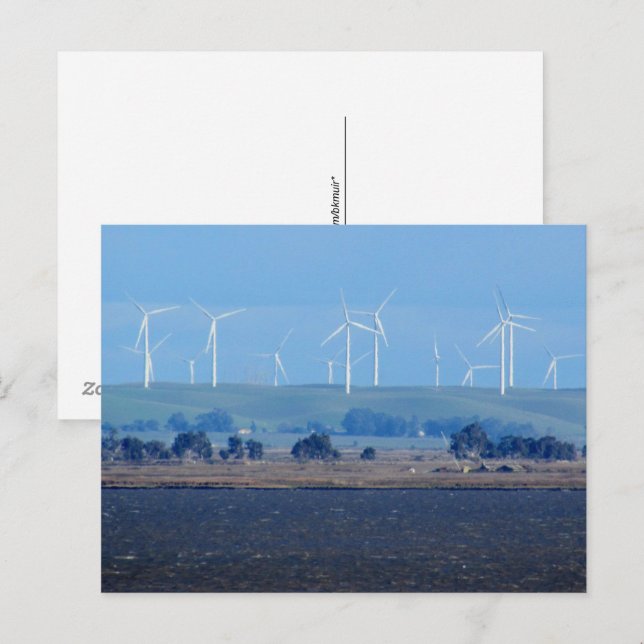 Carte postale - Parc éolien sur le Delta (Devant / Derrière)