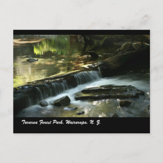Carte Postale Parc forestier de Tararua, Wairarapa, N. Z.