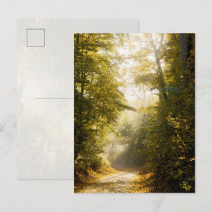 Carte Postale Parc Golden Morning, Photographie d'art original
