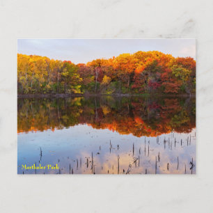 Carte Postale parc marthaler automne et réflexion d'étang postca