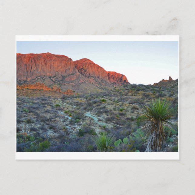 Carte Postale Parc national Big Bend (Devant)