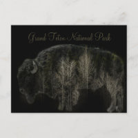 Parc national de Bison et Forêt Grand Teton