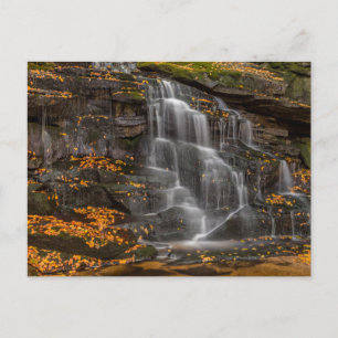 Carte Postale Parc national de Blackwater Falls