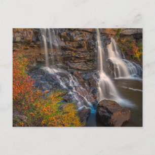 Carte Postale Parc national de Blackwater Falls   Virginie occid