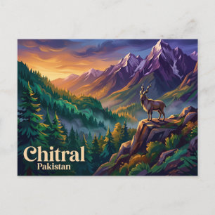 Carte Postale Parc national de Chitral Gol Pakistan