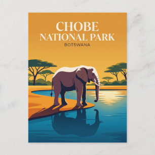 Carte Postale Parc national de Chobe Botswana