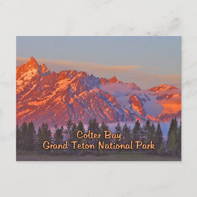 Carte Postale Parc national de Colter Bay Grand Teton (Devant)