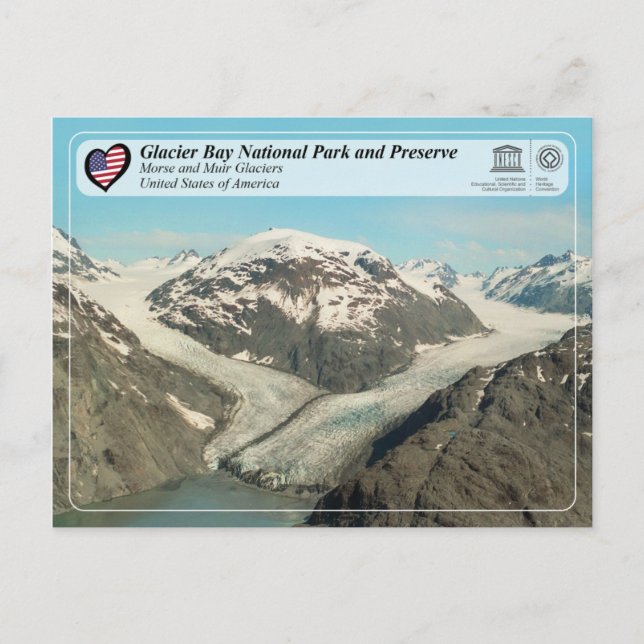 Carte Postale Parc national de Glacier Bay - Glacier Morse et Mu (Devant)