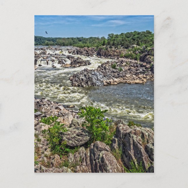 Carte Postale Parc national de Great Falls (Devant)