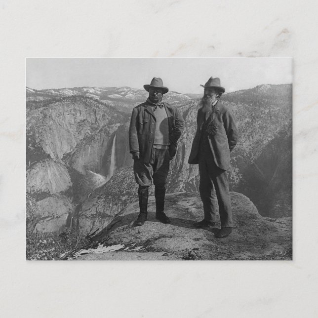 Carte Postale Parc national de John Muir Teddy Roosevelt Yosemit (Devant)