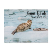 Parc national de Kenai Fjords