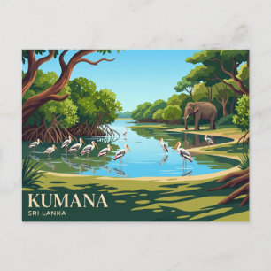 Carte Postale Parc national de Kumana Sri Lanka