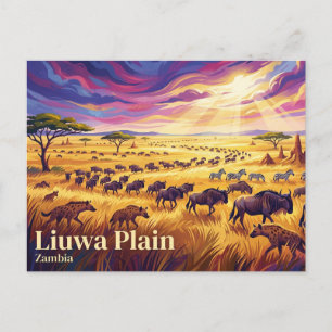 Carte Postale Parc national de la plaine de Liuwa en Zambie