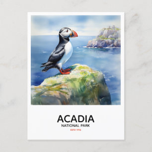 Carte Postale Parc national de l'Acadie - Puffin perché