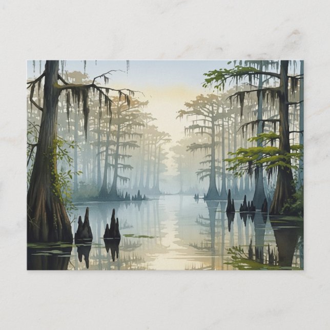Carte Postale Parc national de Misty Congaree Caroline du Sud (Devant)