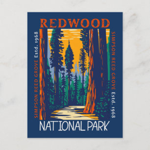 Carte Postale Parc national de Redwood Californie Rétro en détre