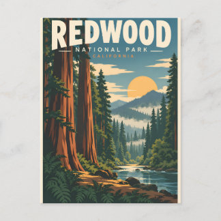 Carte Postale Parc national de Redwood Californie vintage