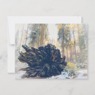 Carte Postale Parc national de Sequoia Forêt d'hiver