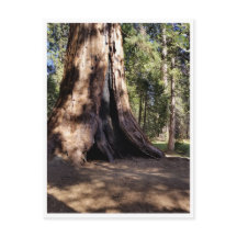 Parc national de Sequoia : Journées des Chiens