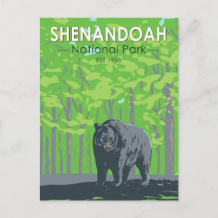 Carte Postale Parc national de Shenandoah Ours noir Vintage