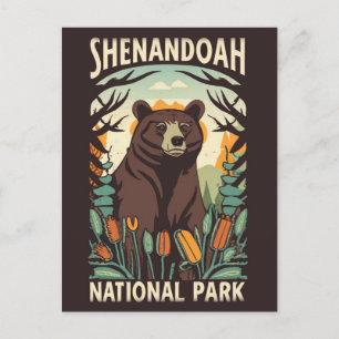 Carte Postale Parc national de Shenandoah - voiture