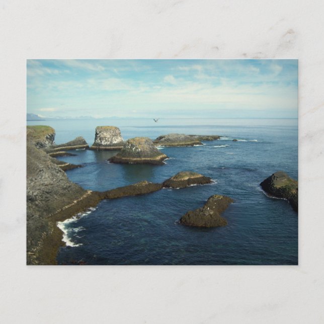 Carte Postale Parc national de Snæ fellsjökull, Islande (Devant)