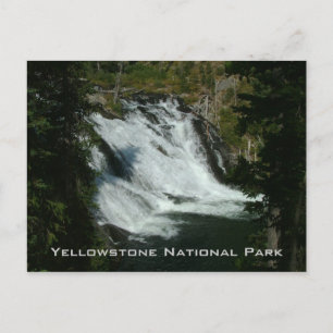 Carte Postale Parc national de Yellowstone