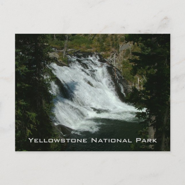 Carte Postale Parc national de Yellowstone (Devant)