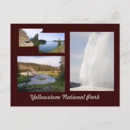 Carte Postale Parc national de Yellowstone