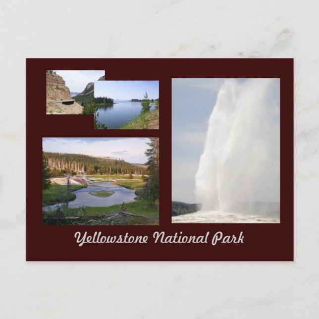 Carte Postale Parc national de Yellowstone (Devant)