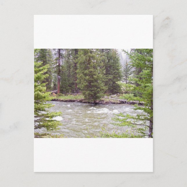 Carte Postale Parc national de Yellowstone (Devant)