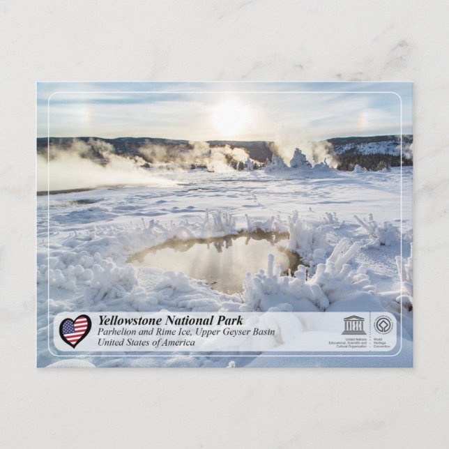 Carte Postale Parc national de Yellowstone - Bassin supérieur de (Devant)