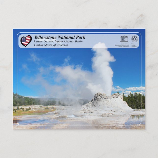 Carte Postale Parc national de Yellowstone - Château Geyser (Devant)