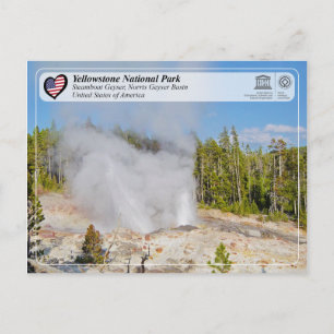 Carte Postale Parc national de Yellowstone - Steamboat Geyser