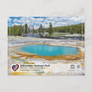 Carte Postale Parc national de Yellowstone - Wall Pool