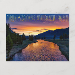 Carte Postale Parc national de Yellowstone Wyoming at Sunset Str