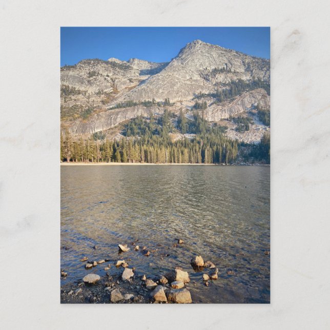 Carte postale - Parc national de Yosemite, Califor (Devant)