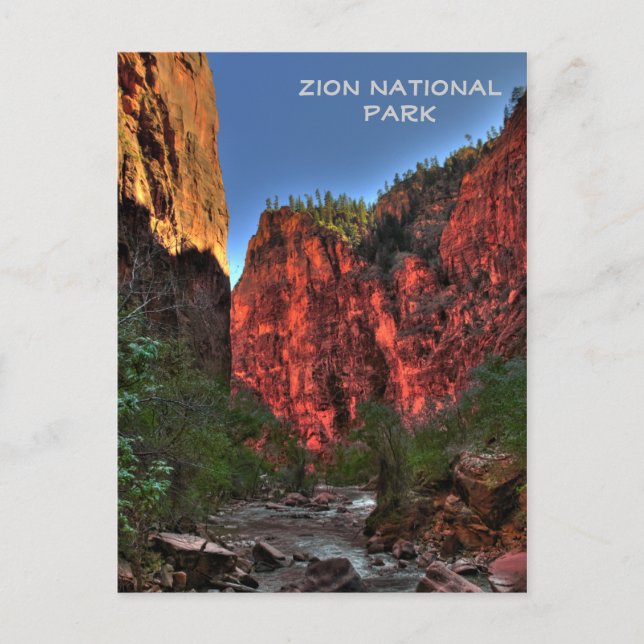 Carte Postale Parc national de Zion (Devant)