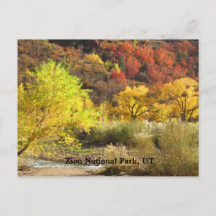 Carte Postale Parc national de Zion, Utah Automne Couleurs paysa
