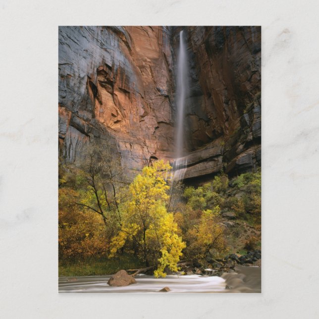 Carte Postale Parc national de Zion, Utah. États-Unis Éphémère (Devant)