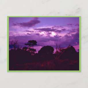 Carte Postale Parc national des Cavernes Carlsbad