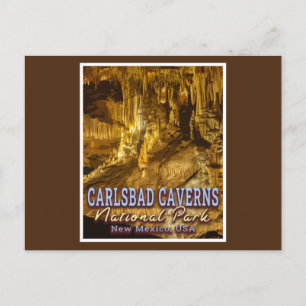 CARTE POSTALE PARC NATIONAL DES CAVERNES CARLSBAD - NOUVEAU MEXI