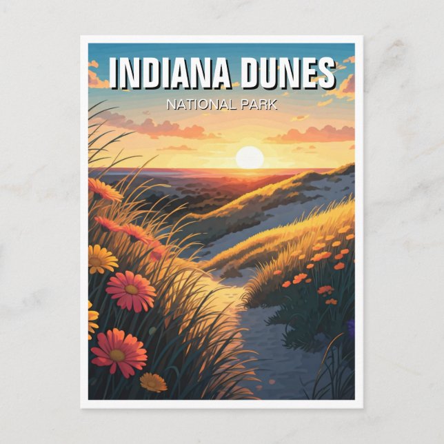 Carte Postale Parc national des dunes d'Indiana Travel (Devant)