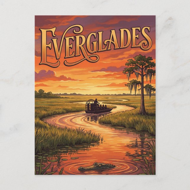 Carte Postale Parc national des Everglades (Devant)