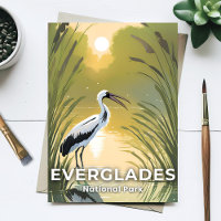 Parc national des Everglades | Cigogne à l'aquarel