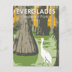 Carte Postale Parc national des Everglades Floride Aigrette Vint