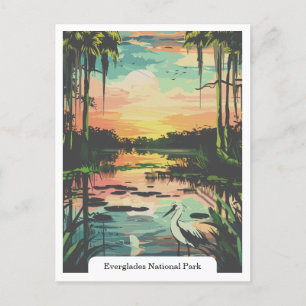 Carte Postale Parc national des Everglades, Floride USA