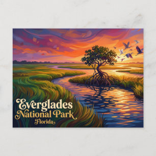 Carte Postale Parc national des Everglades USA