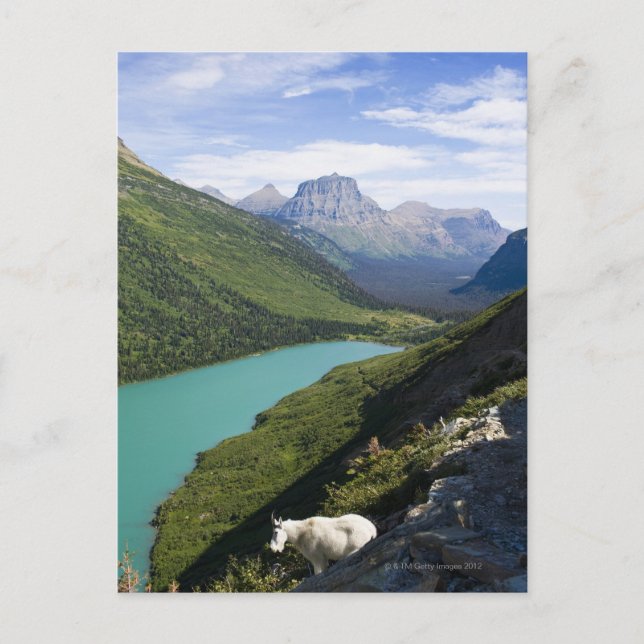Carte Postale Parc national des Glaciers, Montana (Devant)